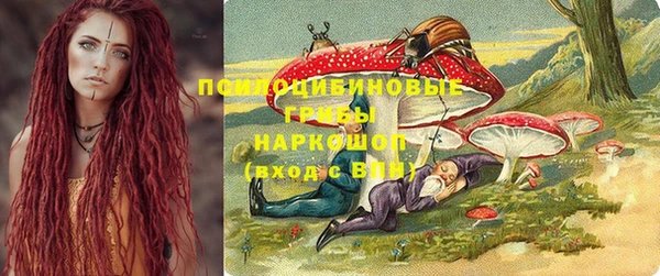 амф Алзамай