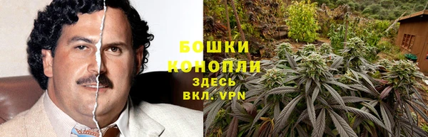 соль ск Алексин