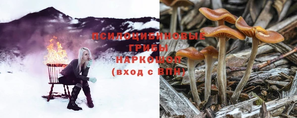 амф Алзамай