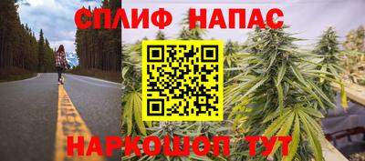 гашик Лесосибирск