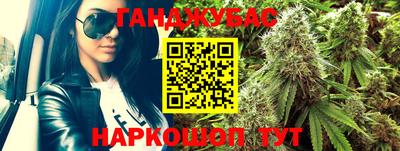 гашик Лесосибирск