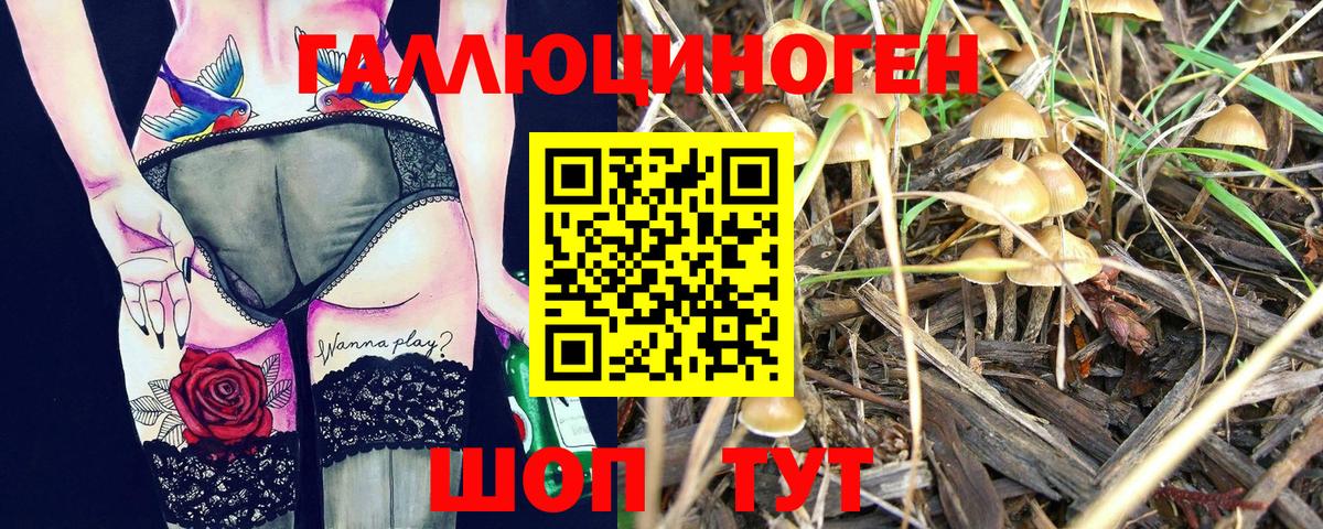 Галлюциногенные грибы Magic Shrooms Ипатово