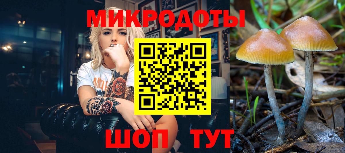 Ипатово  Псилоцибиновые грибы мицелий  Вход с VPN 